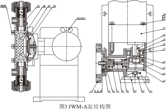 JWM-A隔膜計量泵結構示意圖